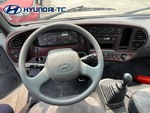 vo_lang_dieu_khien_hyundai_110xl